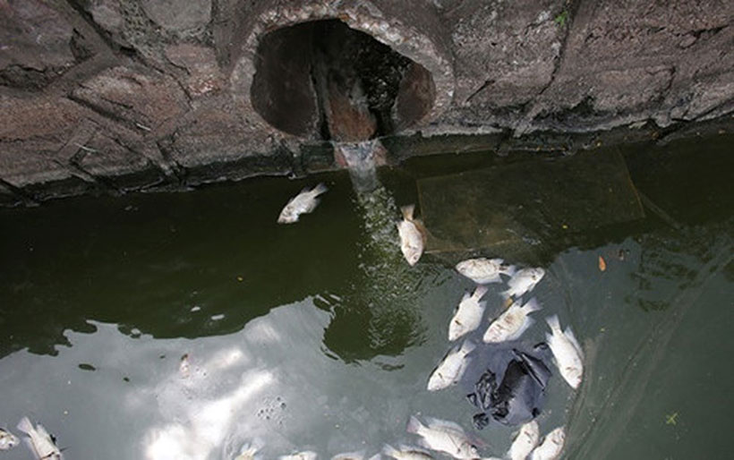 Nước thải công nghiệp chưa được xử lý được thải trực tiếp ra môi trường