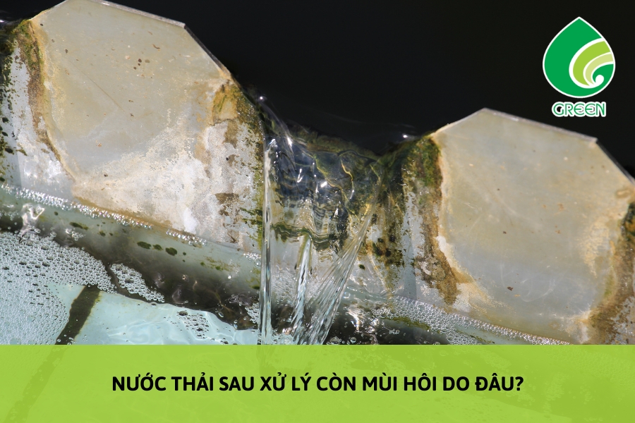Nước Thải Sau Xử Lý Còn Mùi Hôi Do Đâu?
