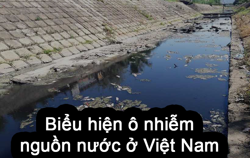 Hình ảnh ô nhiễm môi trường nước ở Việt Nam