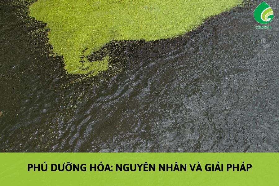 Phú Dưỡng Hóa: Nguyên Nhân Và Giải Pháp