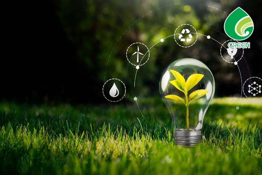 Phục Hồi Môi Trường Nước – Bí Quyết Giữ Dòng Sông Và Ao Hồ Luôn Sạch