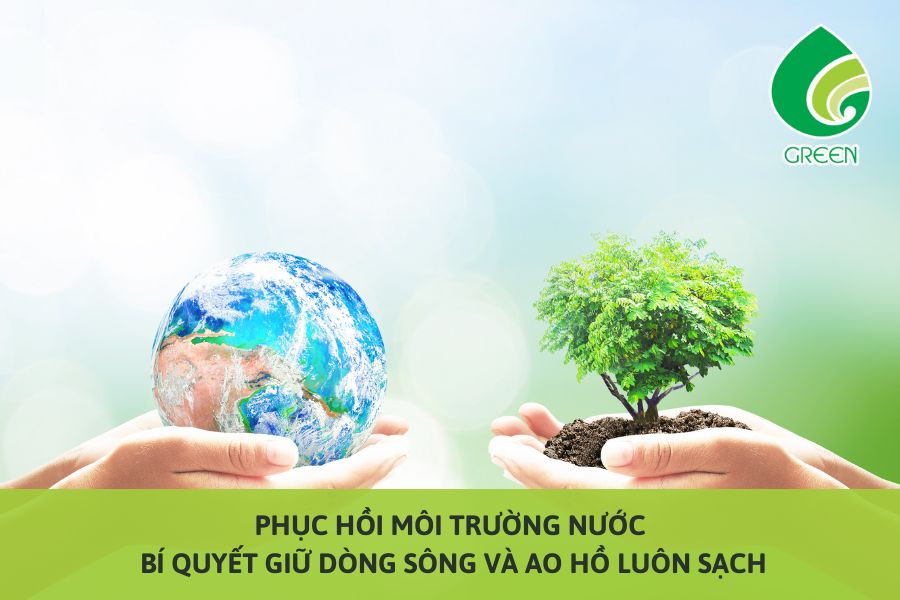 Phục Hồi Môi Trường Nước – Bí Quyết Giữ Dòng Sông Và Ao Hồ Luôn Sạch