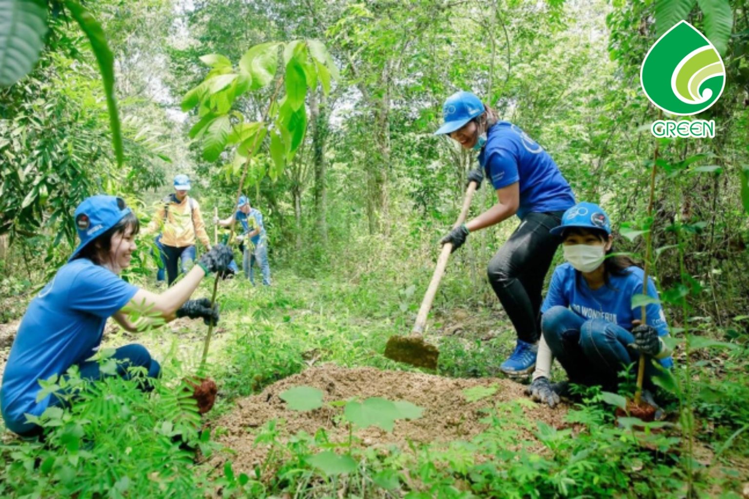 Phục Hồi Sinh Thái – Cuộc Chiến Thầm Lặng Nhưng Quyết Định Sự Sống Còn