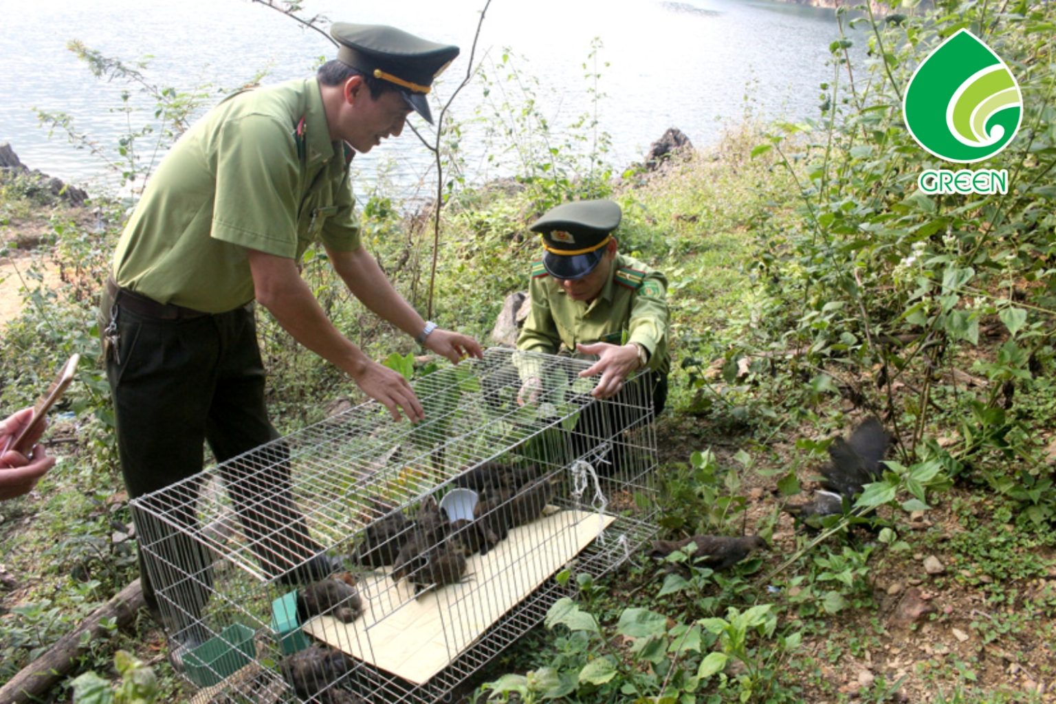 Phục Hồi Sinh Thái – Cuộc Chiến Thầm Lặng Nhưng Quyết Định Sự Sống Còn