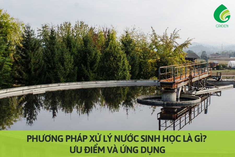 Phương Pháp Xử Lý Nước Sinh Học Là Gì? Ưu Điểm Và Ứng Dụng