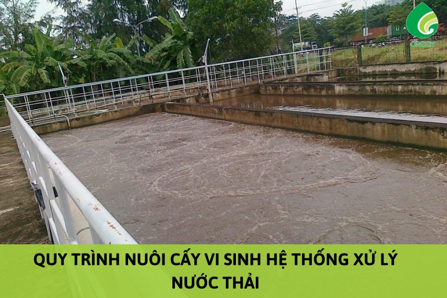 Quy Trình Nuôi Cấy Vi Sinh Hệ Thống Xử Lý Nước Thải