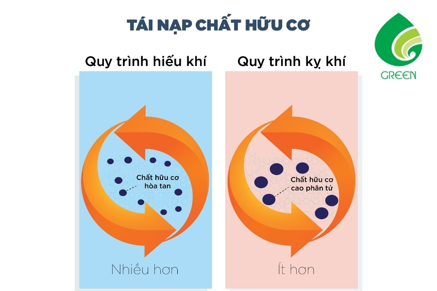 Sự Khác Biệt Đáng Ngạc Nhiên Giữa Xử Lý Sinh Học Kỵ Khí Và Hiếu Khí