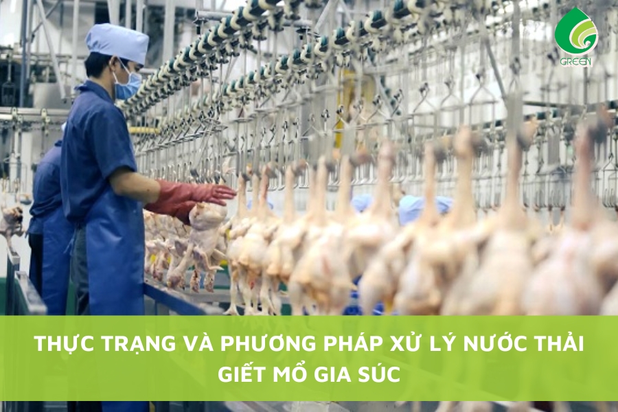 Thực Trạng Và Phương Pháp Xử Lý Nước Thải Giết Mổ Gia Súc