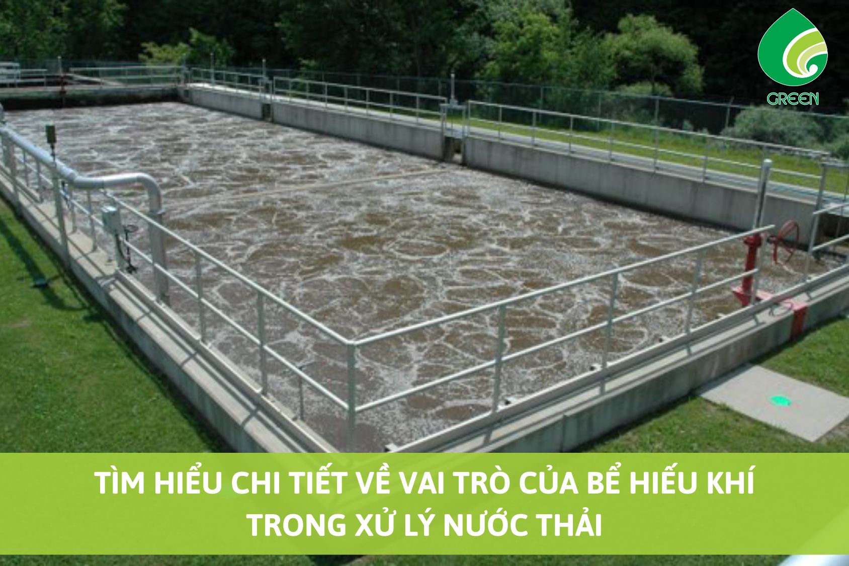 Tìm Hiểu Chi Tiết Về Vai Trò Của Bể Hiếu Khí Trong Xử Lý Nước Thải