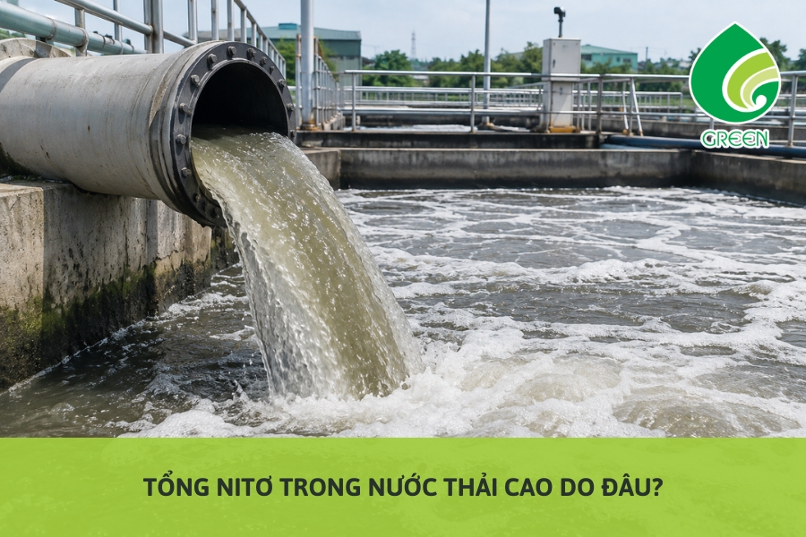 Tổng Nitơ Trong Nước Thải Cao Do Đâu?