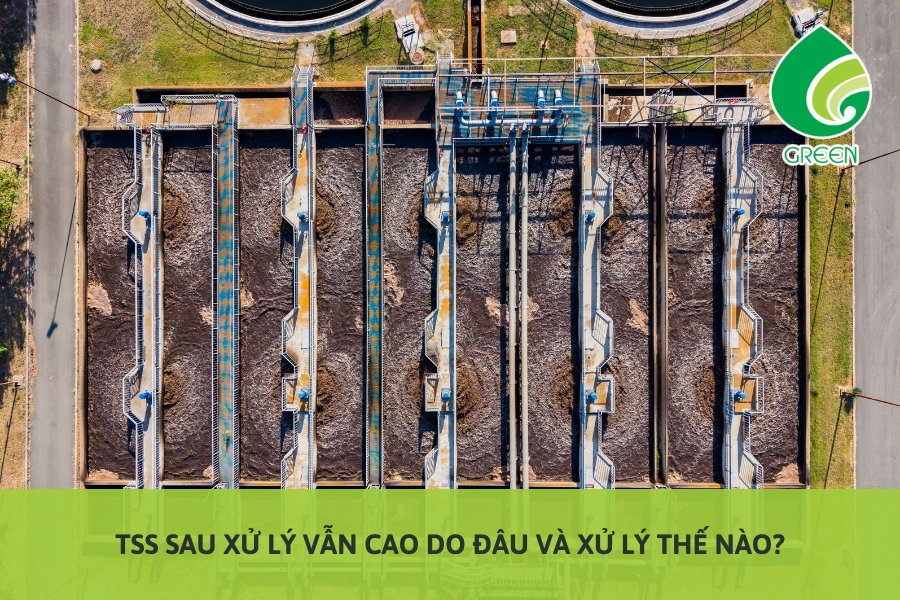 TSS Sau Xử Lý Vẫn Cao Do Đâu Và Xử Lý Thế Nào?