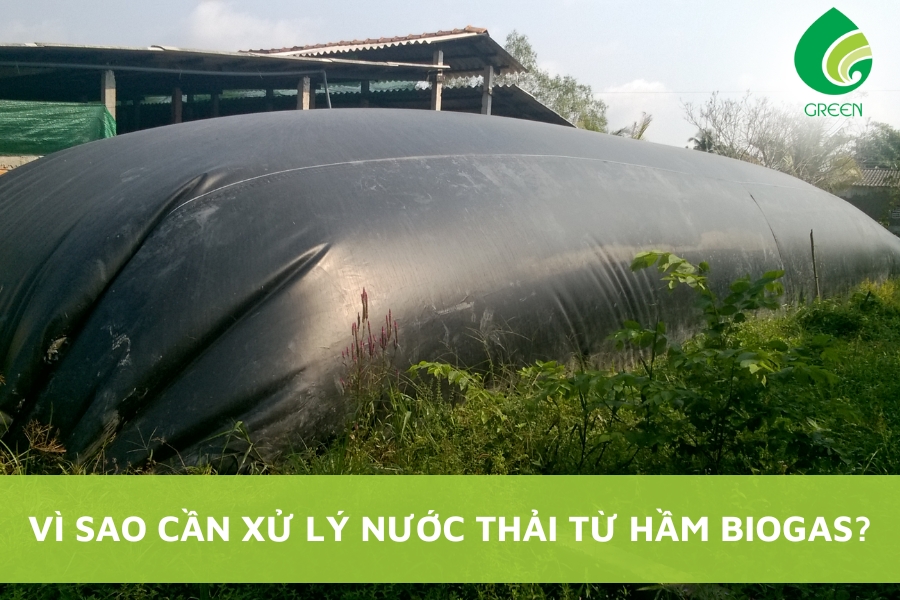 Vì Sao Cần Xử Lý Nước Thải Từ Hầm Biogas?