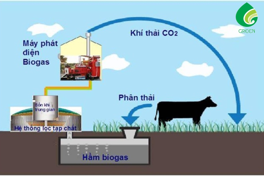 Vì Sao Cần Xử Lý Nước Thải Từ Hầm Biogas?