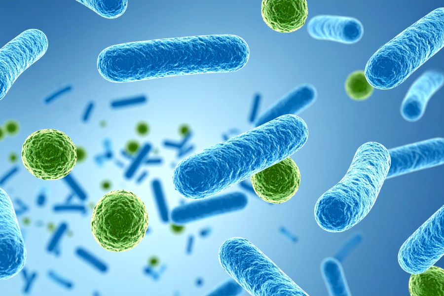 Vì Sao Hóa Chất Diệt Vi Sinh Không Phải Lúc Nào Cũng An Toàn?