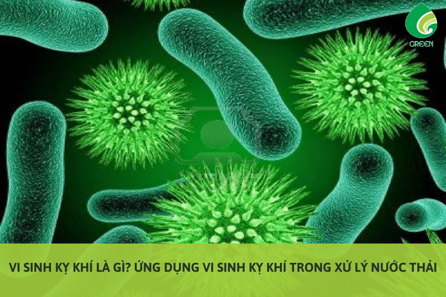 Vi Sinh Kỵ Khí Là Gì? Ứng Dụng Vi Sinh Kỵ Khí Trong Xử Lý Nước Thải