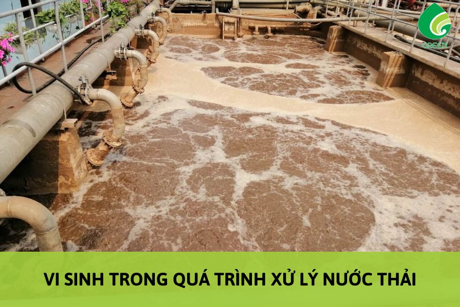 Vi Sinh Trong Quá Trình Xử Lý Nước Thải