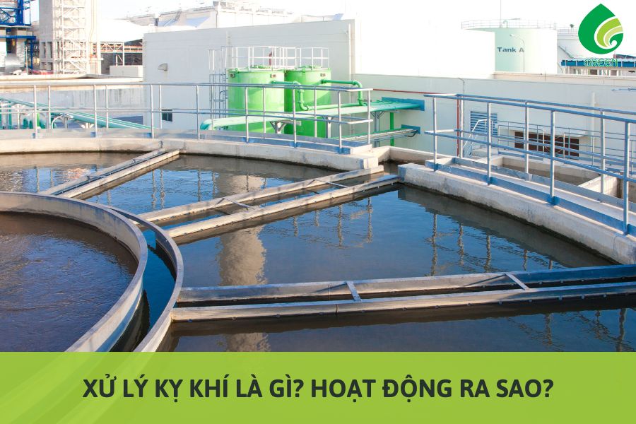 Xử Lý Kỵ Khí Là Gì? Hoạt Động Ra Sao?