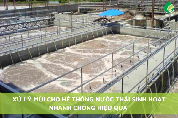 Xử Lý Mùi Cho Hệ Thống Xử Lý Nước Thải Sinh Hoạt Nhanh Chóng, Hiệu Quả