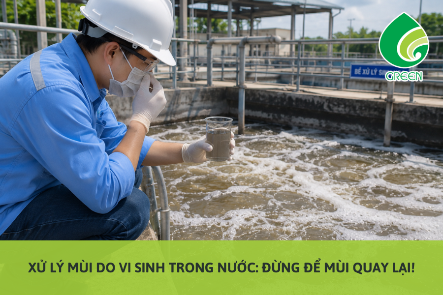 Xử Lý Mùi Do Vi Sinh Trong Nước: Đừng Để Mùi Quay Lại!