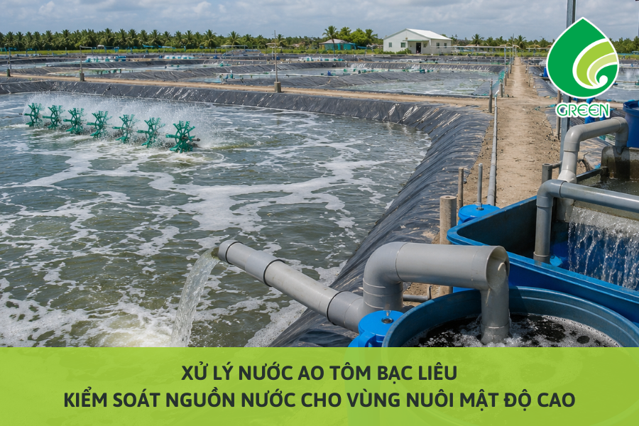 Xử Lý Nước Ao Tôm Bạc Liêu: Kiểm Soát Nguồn Nước Cho Vùng Nuôi Mật Độ Cao