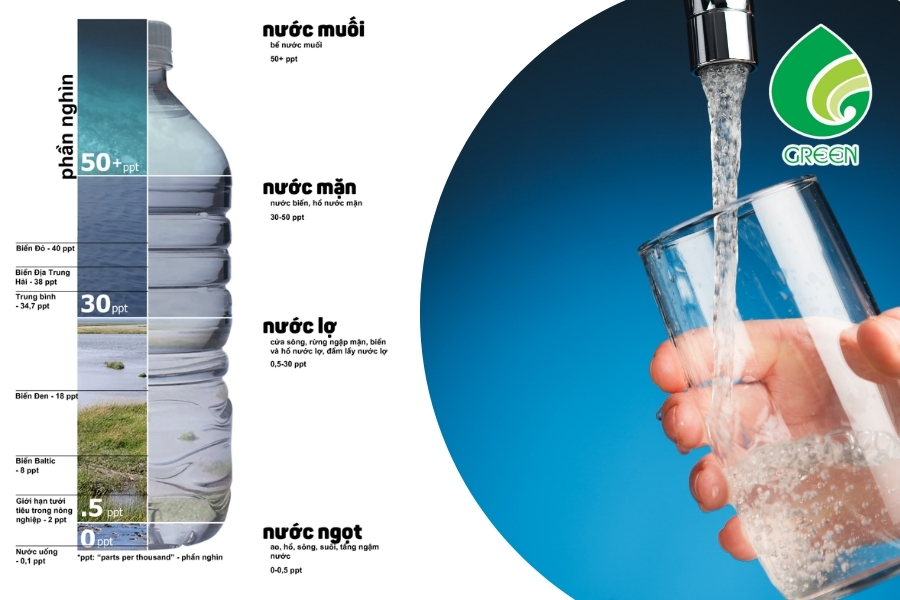 Xử Lý Nước Nhiễm Mặn: Giải Pháp Bền Vững Cho Cuộc Sống