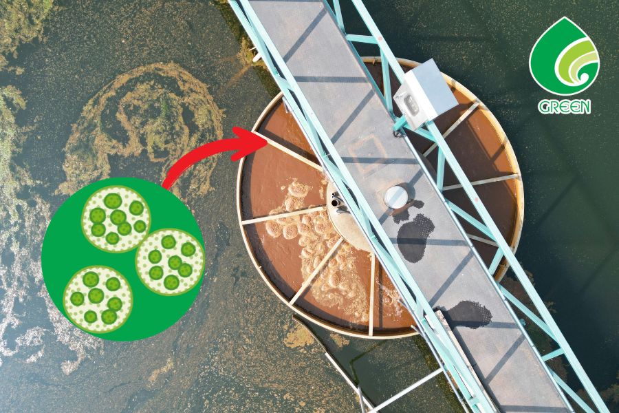 Xử Lý Nước Thải Bằng Phương Pháp Sinh Học: Cơ Chế, Ưu Điểm Và Ứng Dụng