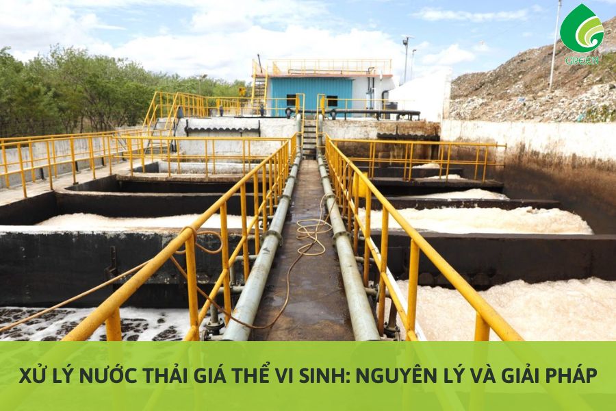 Xử Lý Nước Thải Giá Thể Vi Sinh: Nguyên Lý Và Giải Pháp