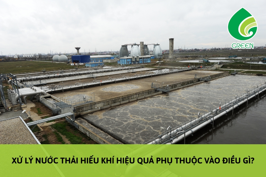 Xử Lý Nước Thải Hiếu Khí Hiệu Quả Phụ Thuộc Vào Điều Gì?