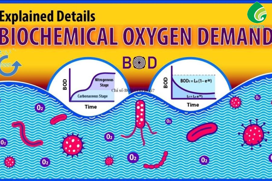 Ý Nghĩa Của Chỉ Số BOD Trong Xử Lý Nước Thải