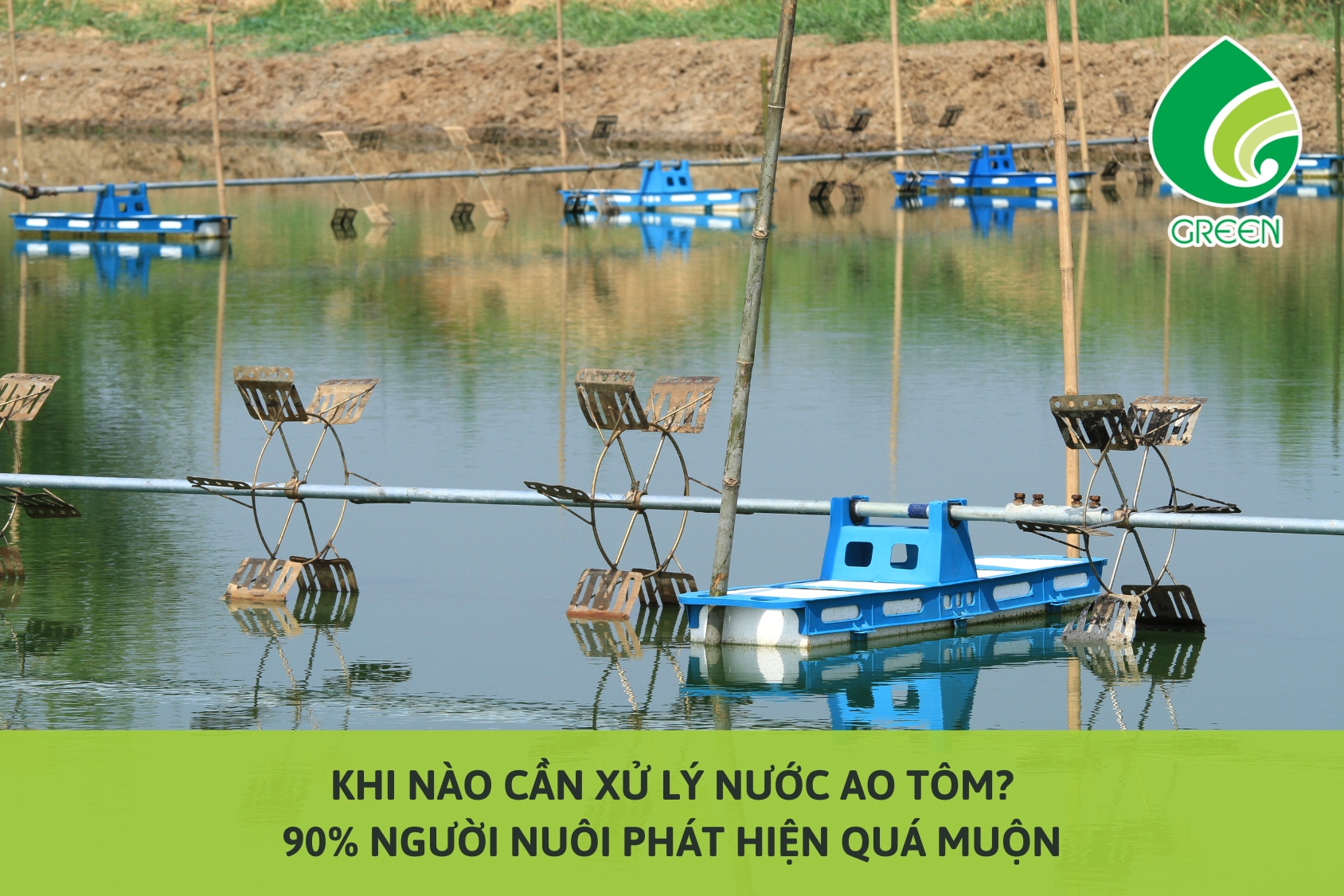Khi Nào Cần Xử Lý Nước Ao Tôm? 90% Người Nuôi Phát Hiện Quá Muộn