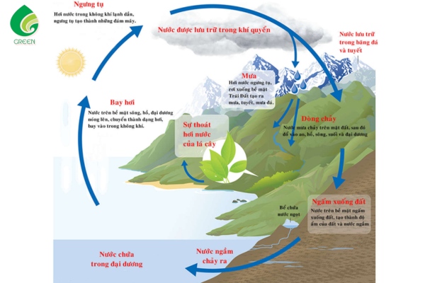 Lợi Ích Và Tác Hại Của Nguồn Nước Tự Nhiên Không Phải Ai Cũng Biết