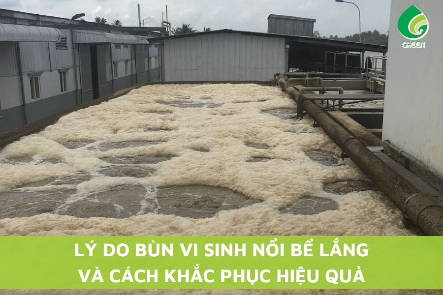 Lý Do Bùn Vi Sinh Nổi Bể Lắng Và Cách Khắc Phục Hiệu Quả