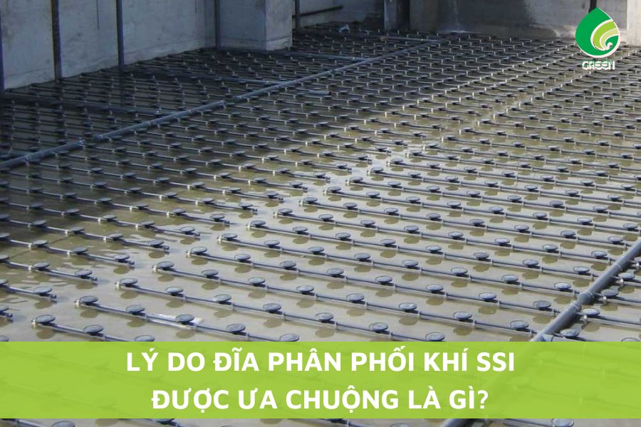 Lý Do Đĩa Phân Phối Khí SSI Được Ưa Chuộng Là Gì?