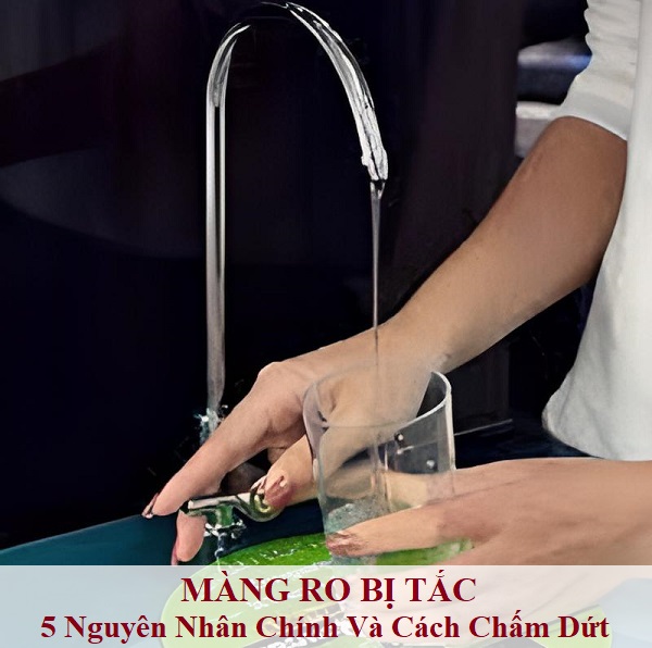 Màng RO Bị Tắc: 5 Nguyên Nhân Chính Và Cách Chấm Dứt