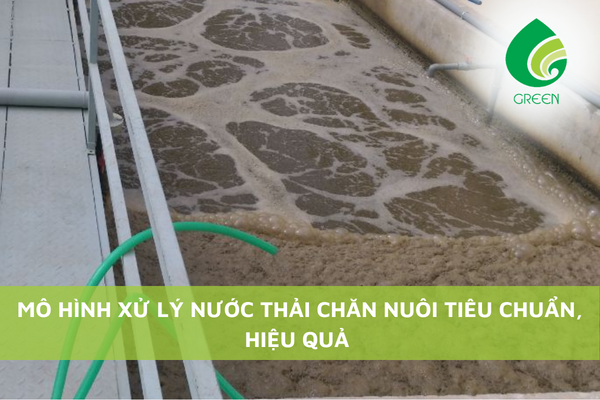 Mô Hình Xử Lý Nước Thải Chăn Nuôi Tiêu Chuẩn, Hiệu Quả