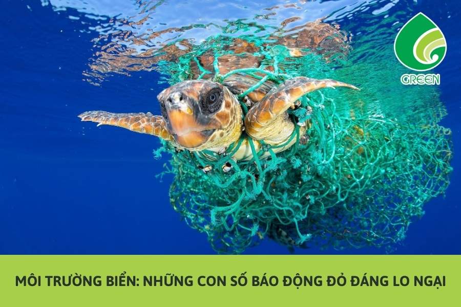 Môi Trường Biển: Những Con Số Báo Động Đỏ Đáng Lo Ngại