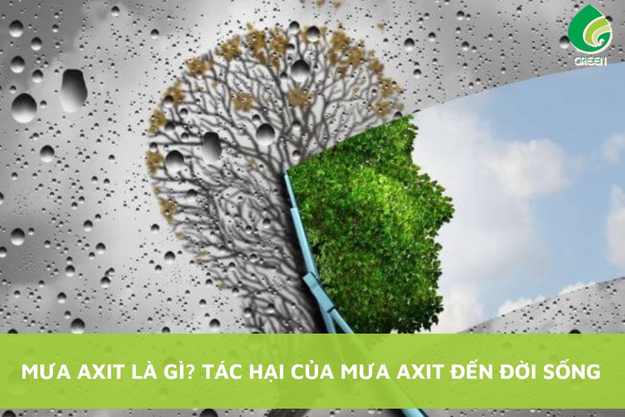 Mưa Axit Là Gì? Tác Hại Của Mưa Axit Đến Đời Sống?