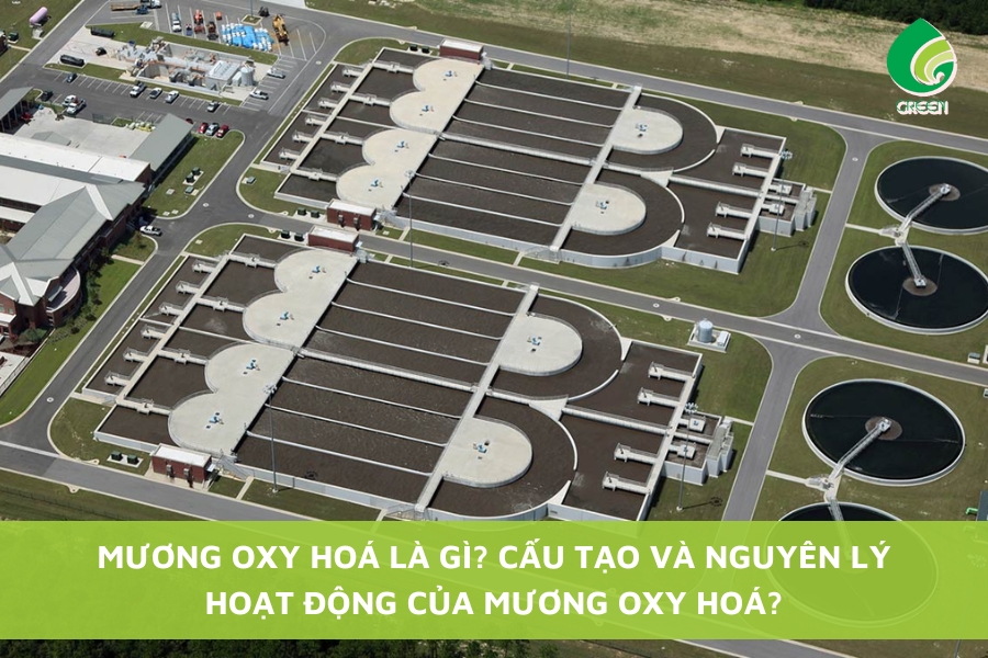 Mương Oxy Hoá Là Gì? Cấu Tạo Và Nguyên Lý Hoạt Động Của Mương Oxy Hoá?