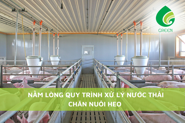 Nằm Lòng Quy Trình Xử Lý Nước Thải Chăn Nuôi Heo