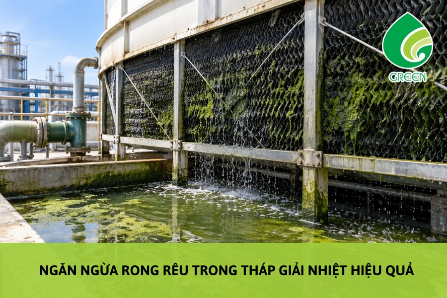Ngăn Ngừa Rong Rêu Trong Tháp Giải Nhiệt Hiệu Quả