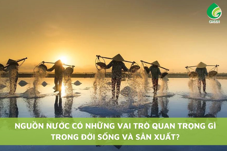 Nguồn Nước Có Những Vai Trò Quan Trọng Gì Trong Đời Sống Và Sản Xuất? 