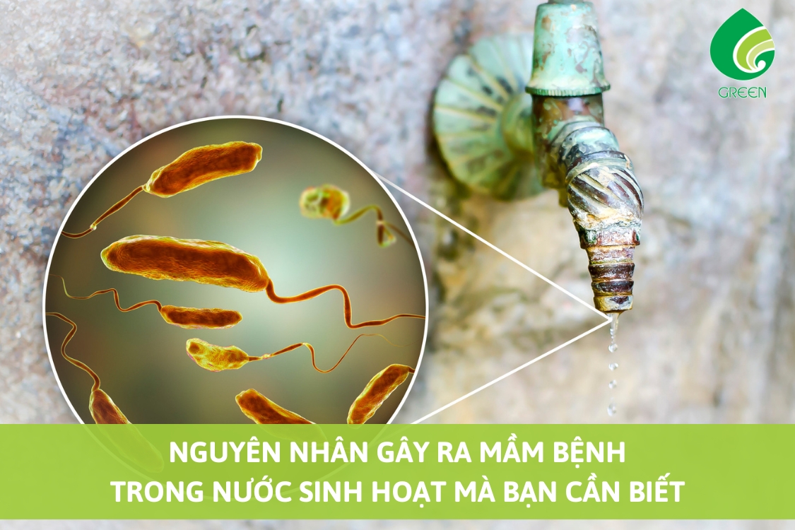 Nguyên Nhân Gây Ra Mầm Bệnh Trong Nước Sinh Hoạt Mà Bạn Cần Biết
