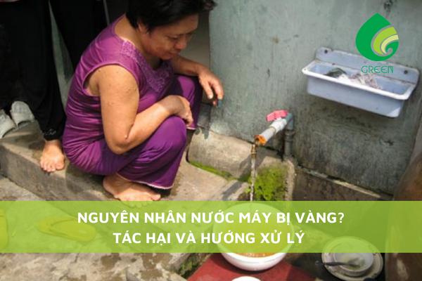 Nguyên Nhân Nước Máy Bị Vàng? Tác Hại Và Hướng Xử Lý