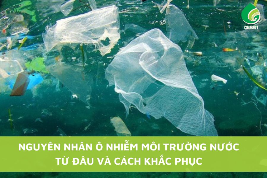 Nguyên Nhân Ô Nhiễm Môi Trường Nước Từ Đâu Và Cách Khắc Phục