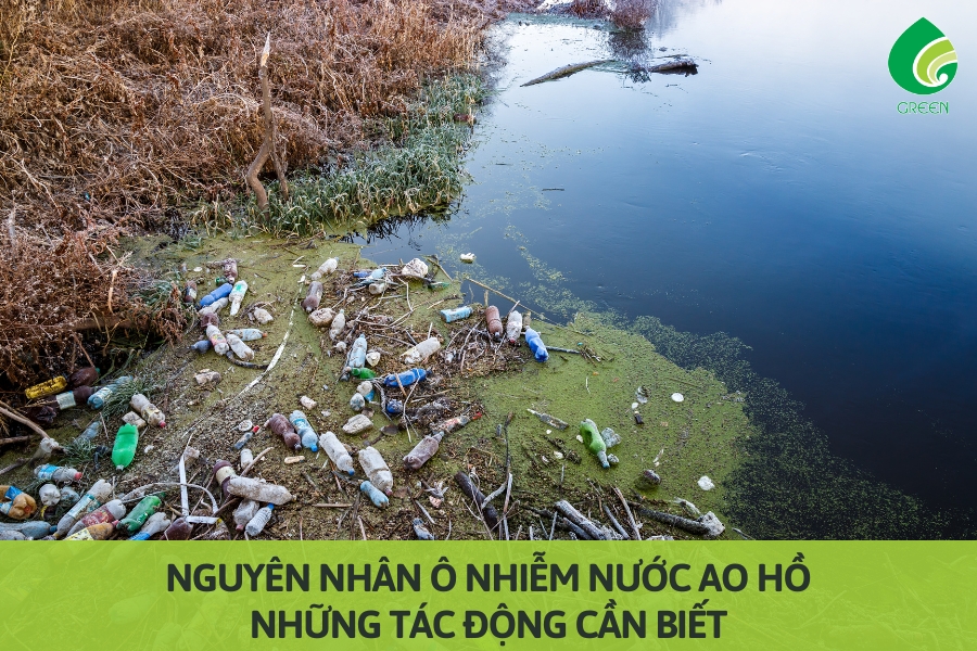 Nguyên Nhân Ô Nhiễm Nước Ao Hồ: Những Tác Động Cần Biết