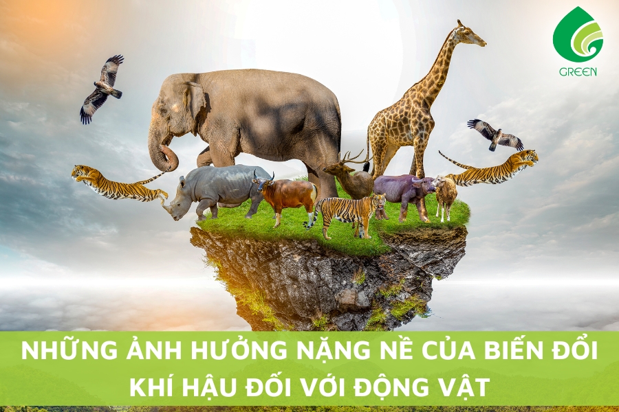 Những Ảnh Hưởng Nặng Nề Của Biến Đổi Khí Hậu Đối Với Động Vật