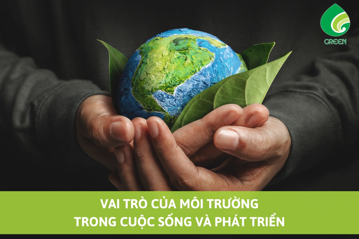 Những Biện Pháp Bảo Vệ Môi Trường Và Phát Triển Môi Trường Bền Vững Mà Bạn Cần Biết 