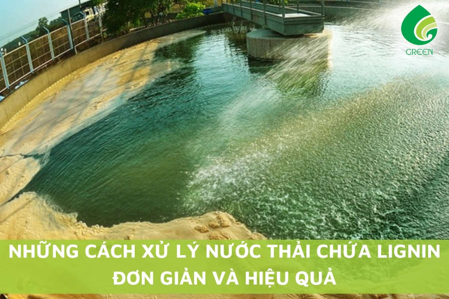 Những Cách Xử Lý Nước Thải Chứa Lignin Đơn Giản Và Hiệu Quả