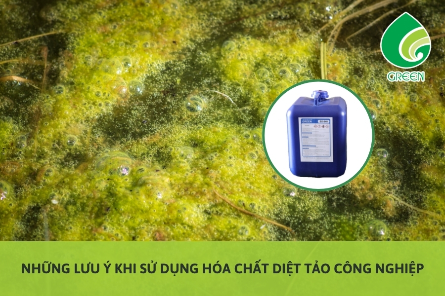 Những Lưu Ý Khi Sử Dụng Hóa Chất Diệt Tảo Công Nghiệp