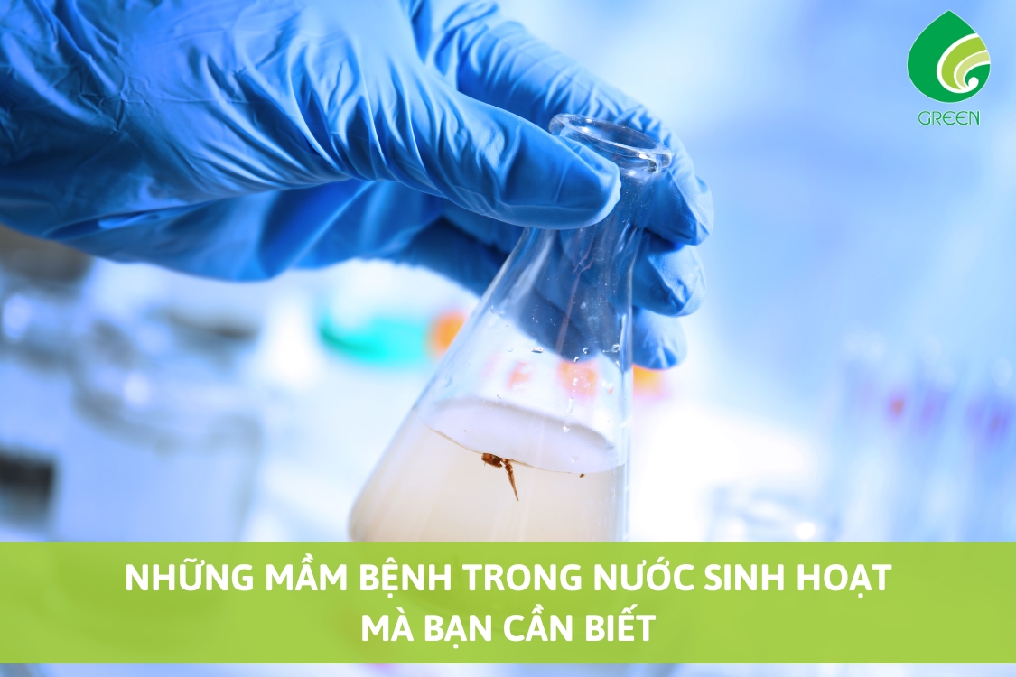 Những Mầm Bệnh Trong Nước Sinh Hoạt Mà Bạn Cần Biết